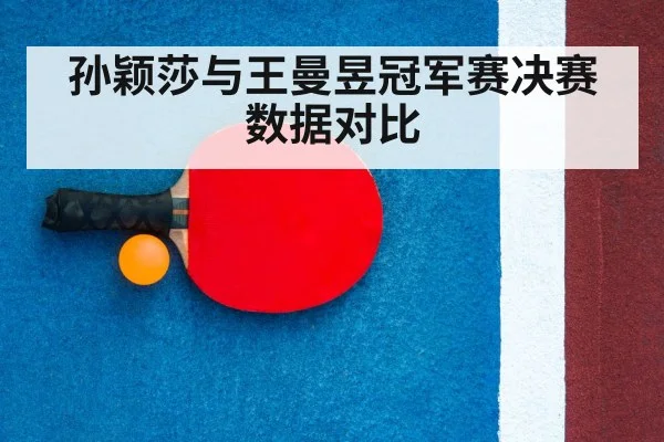 table tennis racket